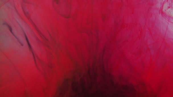 红色和黑色彩绘油墨滴在水中慢动作视频与复制空间 墨水云在水下旋转 — 图库视频影像