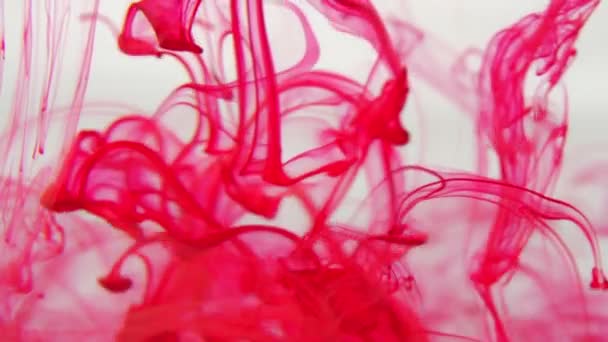 Red Color Paint Ink Drops Water Slow Motion Video Copy — Stock Video