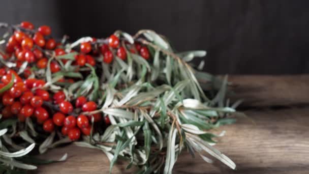 Presse Théière Verre Thé Argousier Bouquets Argousier Fond Hippophae Rhamnoides — Video