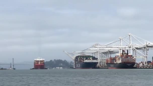 HD-Video Hafen von Oakland Frachtschiff mit Schleppern — Stockvideo