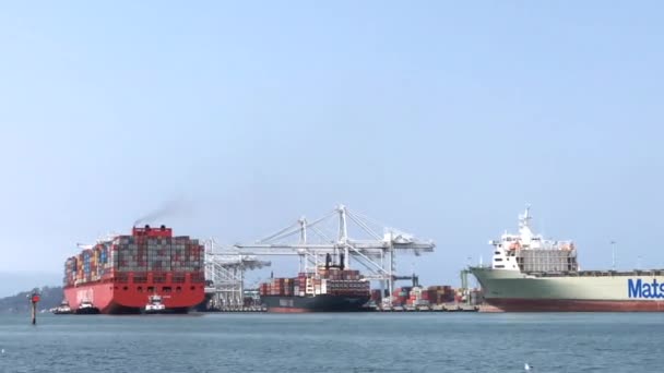 Wideo HD Port Oakland holowniki wspomagają Cargo Ship — Wideo stockowe