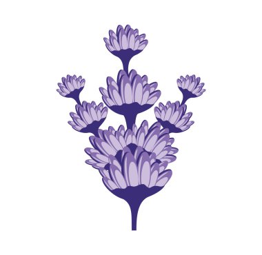 Lavanta çiçeği tasarımı illüstrasyon vektörü biçimi, tasarım ihtiyaçlarınız, logonuz, illüstrasyonunuz, animasyonunuz vs. için uygun.