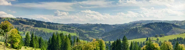 Paysage de montagne d'été Photo De Stock