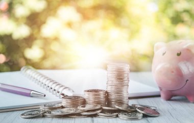 Para yığını ve yeşil doğa hakkında kitabı olan pembe domuzcuk, para harcama planlaması, madeni paralar ve yatırım bütçesiyle büyüyen bitki, işletme finansmanı ve tasarruf edilen para yatırımı.