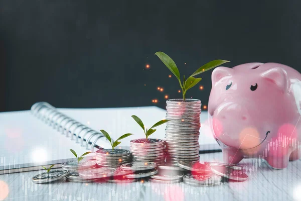 Piggy Bank Rosa Com Folha Pilha Moedas Fundo Escuro Planejamento — Fotografia de Stock