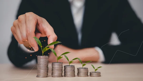 Close up of Businessman with stacking coins and Trees growing on coin in dark background ,Business Finance and Money, plant growing up on coins and investment budget, saving money investment.concept