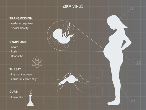 与孕妇 Zika 病毒分布图 — 图库矢量图片