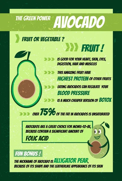 Güzel modern avokado Infographic düz tasarım