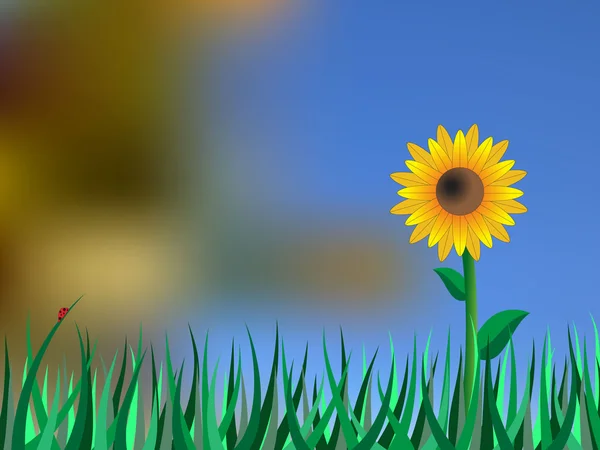 Sommer Hintergrund mit Sonnenblume und verschwommenem Himmel — Stockvektor