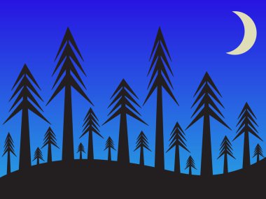 Gece gökyüzü ile ormanın basit arka plan