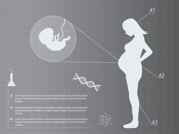 Schwangere Frau Infografik Medizin Hintergrund — Stockvektor