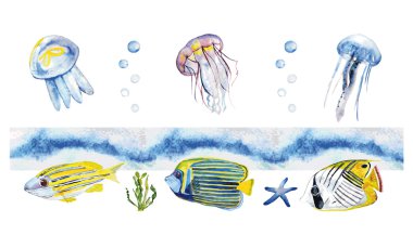 Suluboya balık, Deniz anası.