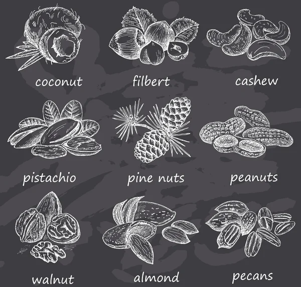 Nuts on chalkboard — Stock Vector