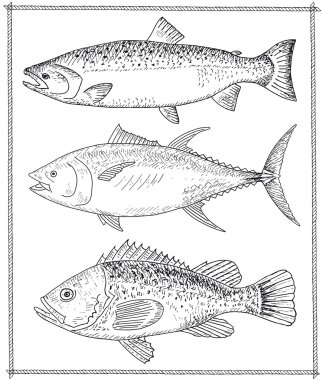 çizilmiş balık el