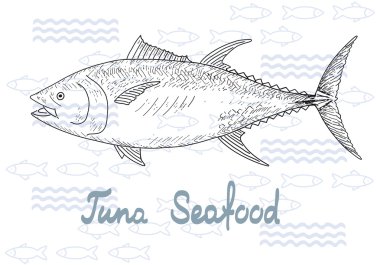 Orkinos balık vektör