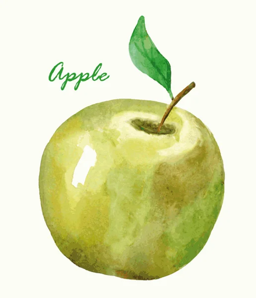Акварель яблоко. Ручная картина — стоковый вектор