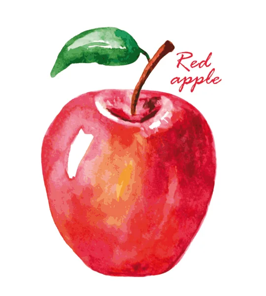 Akvarel červené jablko. — Stockový vektor