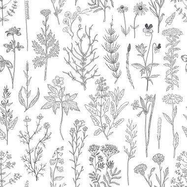 bitkiler ve çiçekler