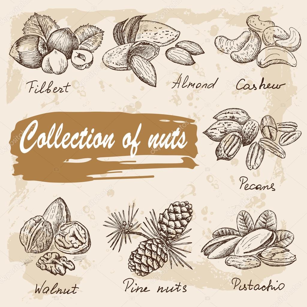 collection of nuts