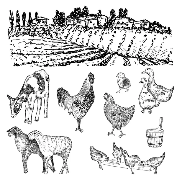 农场手绘图 — 图库矢量图片