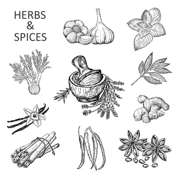 Bitkiler ve baharatlar.