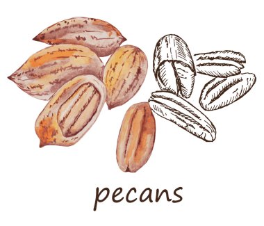 somun pecans
