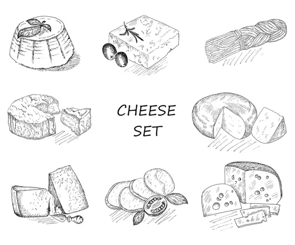 Peynir set — Stok Vektör