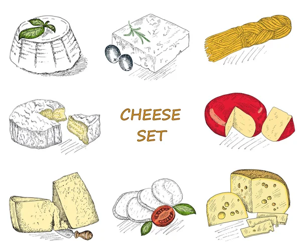 Conjunto de queso — Vector de stock