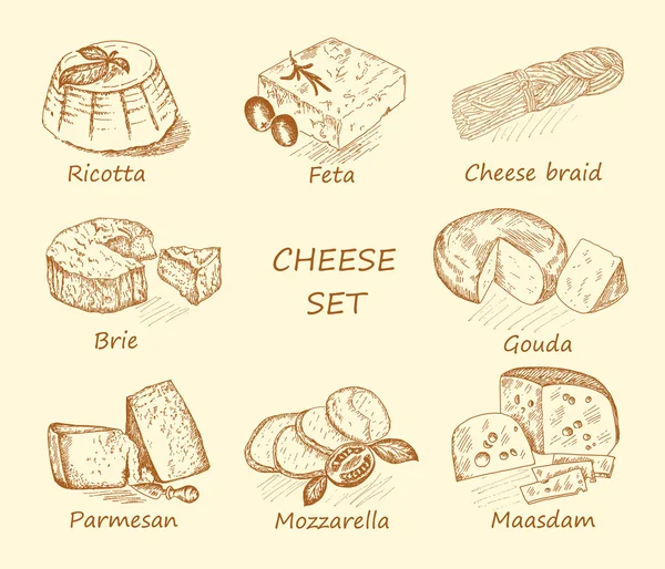 Set de queso marrón — Vector de stock