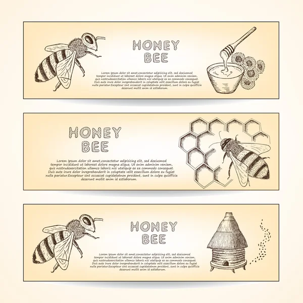 Honey and bee — Stock Vector