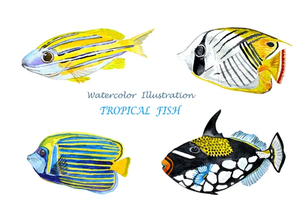 Acquerello pesci tropicali . — Vettoriale Stock