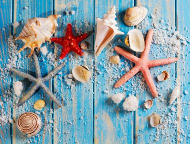 Mavi ahşap bir eko tahtada deniz yıldızları ve deniz kabukları. Deniz tuzu, deniz kabuğu ve ahşap mavi arka planda deniz yıldızı.