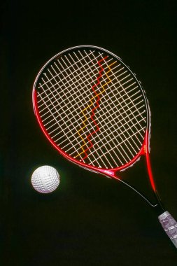 Nagaraja (yılan kralı) ve eşi Nagini 'yi gösteren mağaranın sol kanadı. Ajanta Mağaraları, Aurangabad, Maharashtra, Hindistan