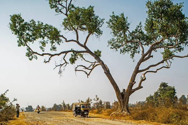 08 Dec 2014 small pickup van on way to Murhu on dusty road Ranchi, Jharkhand INDIA