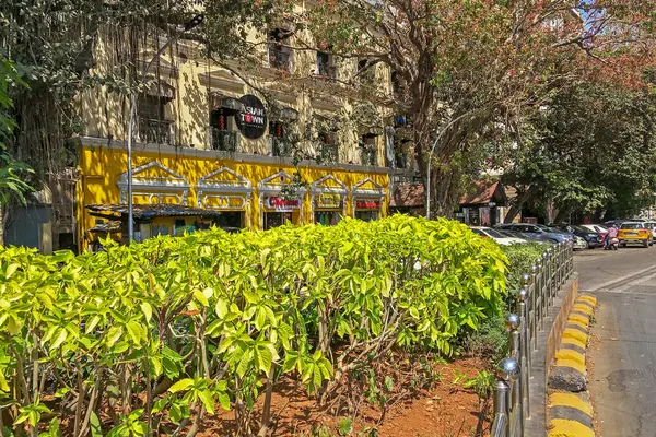 2019 Heritage Building Yellow Green Traffic Bay Kalaghoda Fort Mumbai — Stock Photo, Image