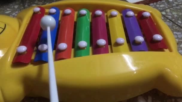 Xylophone speelgoed in regenboogkleur. Educatief speelgoed voor kind en knuffel — Stockvideo