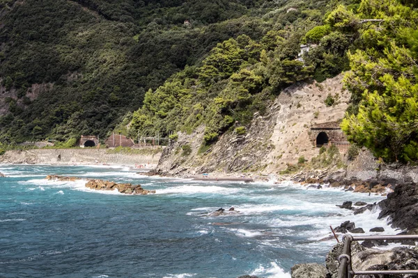 Wybrzeże Cinque Terre Manarola — Zdjęcie stockowe