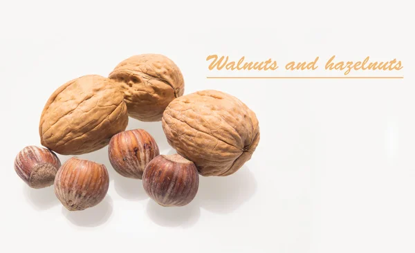 Ceviz ve fındık üzerinde beyaz izole