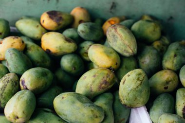 Sepet dokuma, ham mango