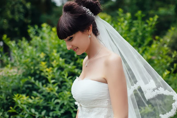 Matrimonio. Giovane bella sposa in abito bianco e velo in piedi — Foto Stock