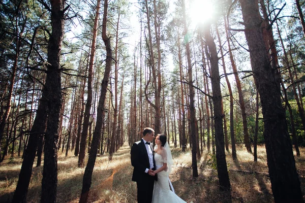 Copule de casamento. Bela noiva e noivo. Apenas feliz. Fechar u — Fotografia de Stock