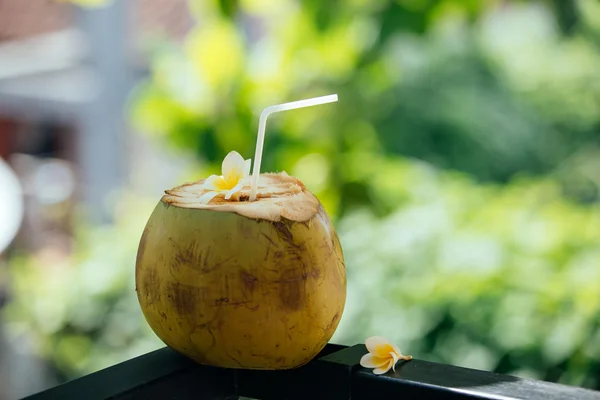 Diät-Drink. tropischer Cocktail mit rohem Kokoswasser oder — Stockfoto