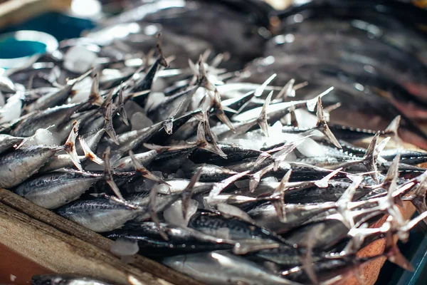 Fresh tuna fish in market
