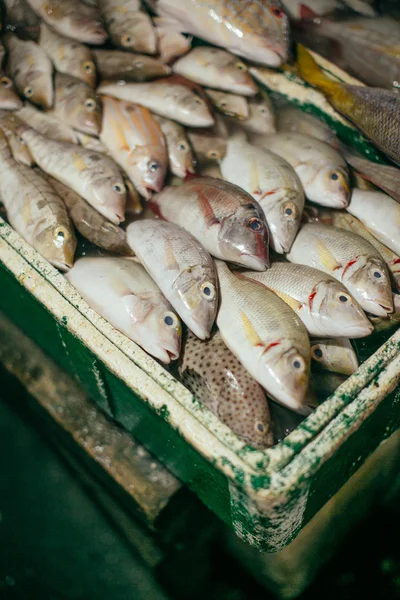 Морепродукти в рибний ринок. Свіжої риби ринку на Балі — стокове фото