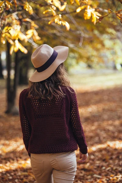 Rear view of brunette girl in autumn/fall park in brown hat, swe — Stock Photo, Image