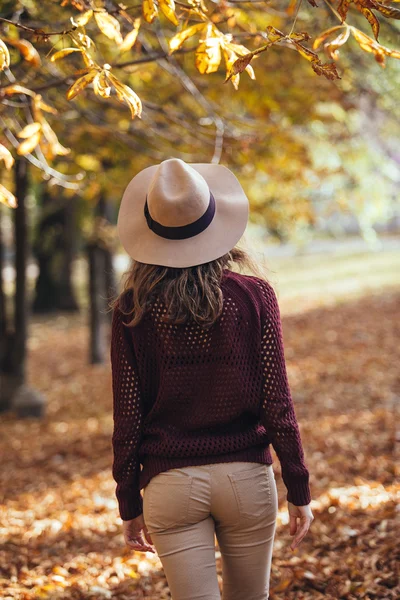 Rear view of brunette girl in autumn / fall park in brown hat, swe — стоковое фото