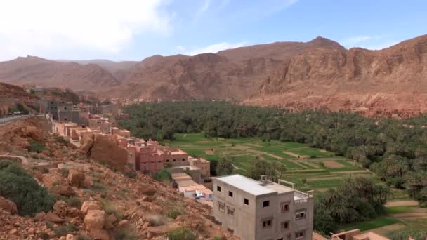 Letecký pohled na opuštěné město s hliněnými domy v Maroku bez lidí a zelenou oázou s palmami, červené hliněné hory ve slunečný den — Stock video