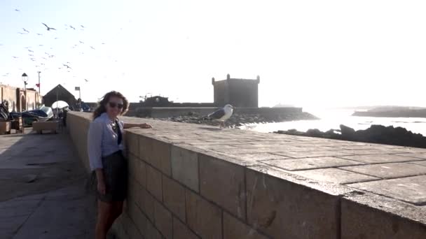 Νεαρή Ευρωπαία ευτυχισμένη γυναίκα και γλάρος κοντά στη θάλασσα με γλάρους που πετούν στο βάθος στο λιμάνι της Essaouira, Μαρόκο, αργή κίνηση — Αρχείο Βίντεο