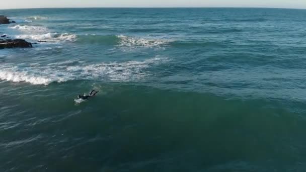 Surfista in muta in attesa di onde a remi in acqua oceanica. Tempo d'inverno. Superficie di acqua di mare azzurra in giorno soleggiato. Vista aerea dal drone — Video Stock