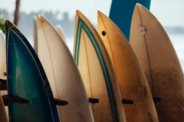 Ensemble de planches de surf de différentes couleurs dans une pile par océan.WELIGAMA , — Photo